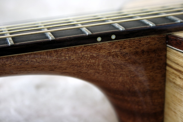 Guitars/WoolsonLG/woolson95neck.jpg